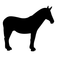 mulesoft