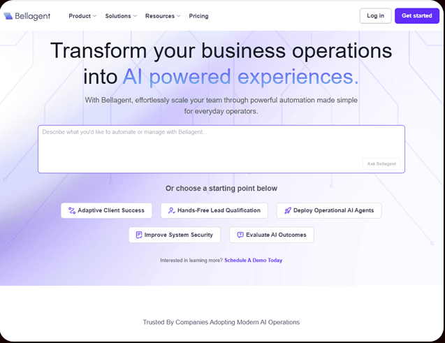 image-portfolio