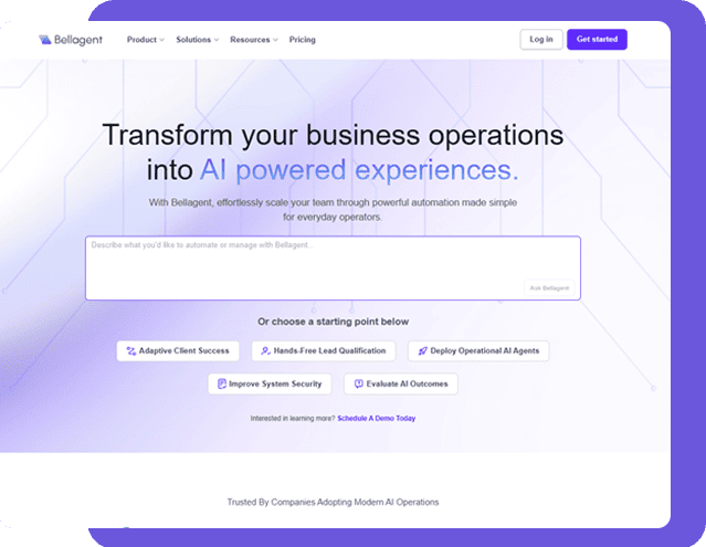 image-portfolio